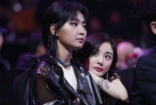 娱乐圈九条爆料最新情况,最新动态揭秘，明星隐私再掀波澜